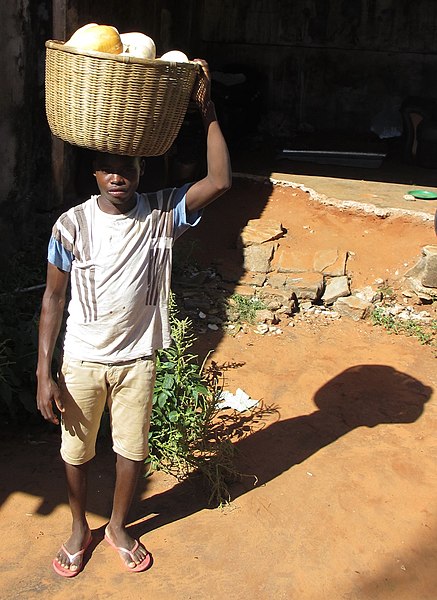 File:Snap melon seller (8685833146).jpg