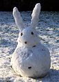 Snowman variant: a snowrabbit