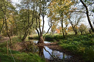 Somerford Park, Cheshire