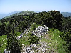 4 Sommet de la chaîne du Jura - point culminant de l'Ain à 1720 m