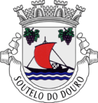 Wappen von Soutelo do Douro