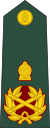 Sri Lanka-army-OF-10.svg