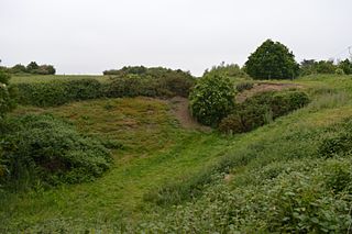 <span class="mw-page-title-main">St Osyth Pit</span> 0.1-hectare geological site in Essex