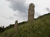 Statue menhirs of U Cantonu