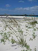 Midway Atoll, Cargo pier Sand Island