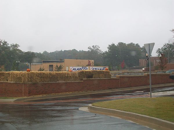 Stockbridge City Hall blocking view of opposing candidates' signs (30 October 2009)