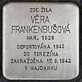 Stolperstein für Vera Frankenbusová.JPG