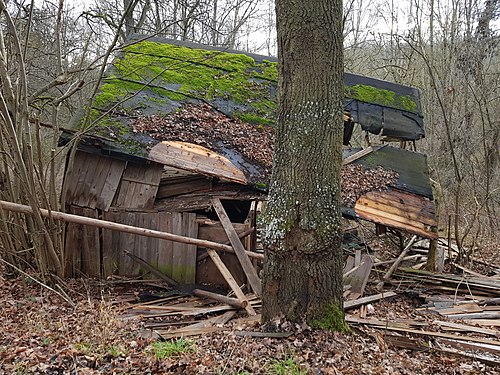 Verfallene Hütte im Weidachwald in Plieningen (Stuttgart)