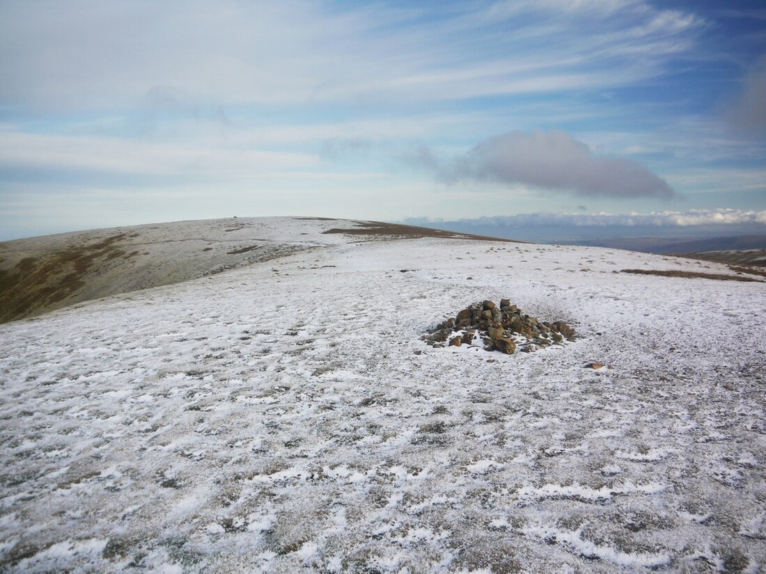 Stybarrow Dodd