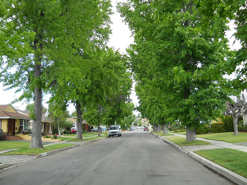 File:Suburban neighborhood, Van Nuys, CA.JPG