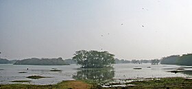 Sultanpur Bird Sanctuary, Haryana..JPG