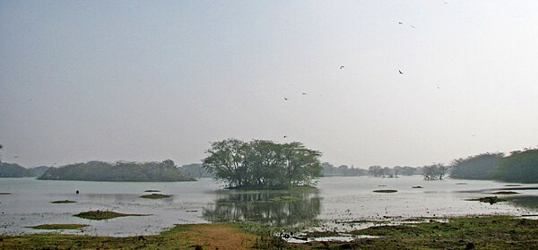 Image: Sultanpur Bird Sanctuary, Haryana