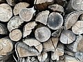 * Nomination Pile of logs along Montépin Way in Saint-Cyr-sur-Menthon, Ain department, France. --Chabe01 12:30, 21 August 2020 (UTC) * Promotion Good quality -- Spurzem 14:30, 21 August 2020 (UTC)