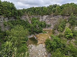 Ручей Тауганнок выше по течению от водопада Тауганнок, штат Нью-Йорк, 20200723 100336.jpg