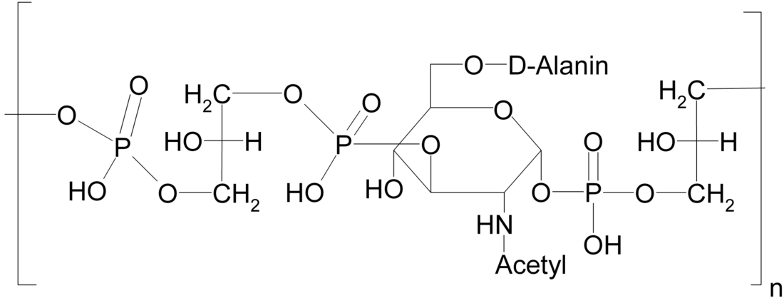 Àcid teicoic