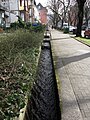 Tennenbacher Straße in Freiburg mit Bächle