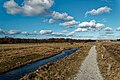 Texel - De Koog - De Dennen - Nature Path 'Alloo' - March 2010 60.jpg