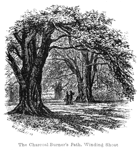 File:The New Forest its history and its scenery - page 019.png