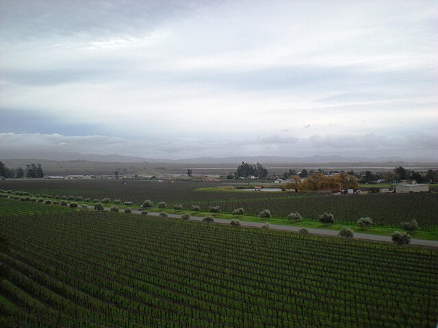 View of the Sonoma Valley