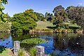 * Nomination Timaru Botanic Garden, New Zealand --Podzemnik 07:11, 18 July 2019 (UTC) * Promotion  Support Good quality. --Manfred Kuzel 07:15, 18 July 2019 (UTC)