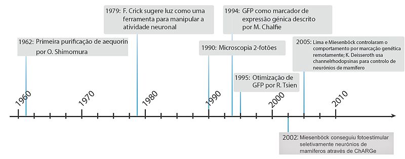 Ficheiro:Timeline optogenética.jpg