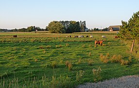 Molitor lies in the hilly moraine, with a few ice-walled lake plains like this.