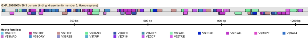 Predicted TFBS on SBK3's promoter with high matrix similarity scores, close proximity to the TSS, high conservation throughout primates, and/or are a TBP. Transcription Factor Binding Sites SBK3.png