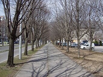 Šetalište u centru Trebinja