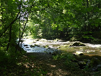 In the Triebe valley between the Pöhl dam and the mouth of the White Elster