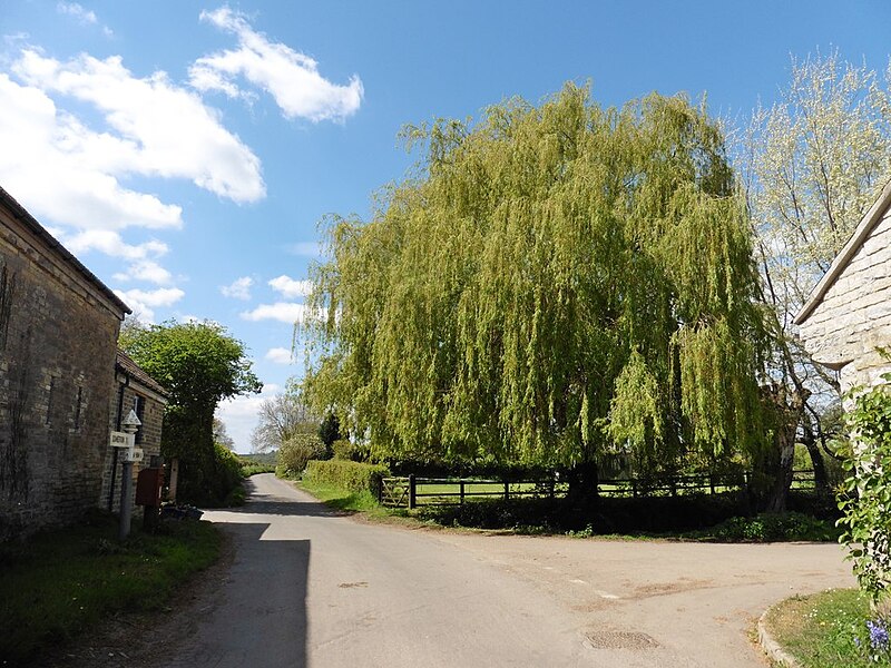 File:Turning for Steart Drove - geograph.org.uk - 5357284.jpg