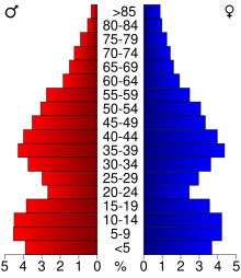 2000 census age pyramid for Boone County.