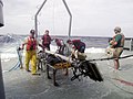 US Navy 030501-N-9999F-001 NAVAIR tactical acoustic measurement and decision aid sonobuoy system (known as TAMDA) team harvests oceanographic parameters in the Gulf of Mexico.jpg