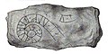 The runestone U 651. The inscription reads * bel[e]ik[r * au]k [* hefton * auk * s]i-ig[r] * (r)aist(u) * [s](t)a[in * þina] * at * ulf * buruþur : s[in]. In English "Bleikr(?) and Halfdan(?) and <si-igr> raised this stone in memory of Ulfr, their brother."