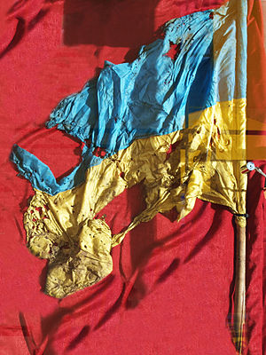 Ukrainian flag from Ilovaisk battlefield.jpg