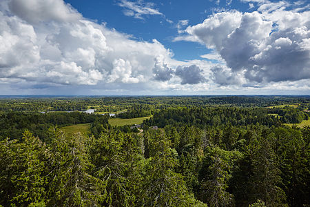 View from Suur Munamägi, the highest peak in the Baltics