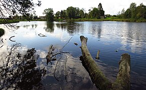 Vetiku Väikejärv