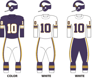 <span class="mw-page-title-main">1963 Minnesota Vikings season</span> NFL team season
