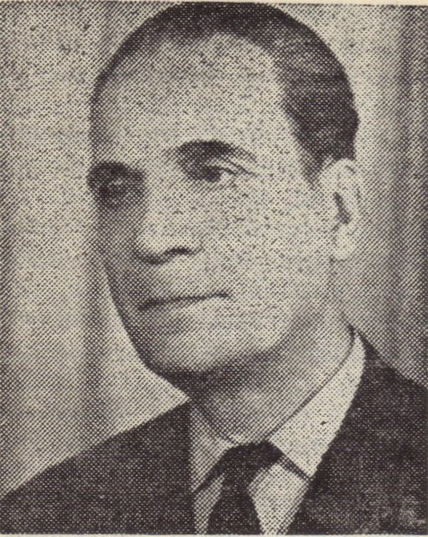 File:Vladimir Streinu.jpg