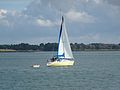 Voilier du golfe du morbihan - panoramio (1).jpg