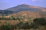 Vignette pour Flores (volcan)