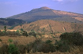 Vue du Flores.