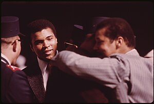 Muhammad Ali: Kindheit und erster Kontakt mit dem Boxsport, Karriere, Liste der Profikämpfe