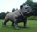 Bulldogge, Wassenaar