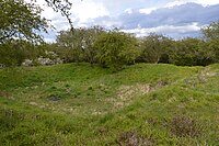 Pitsea Marsh