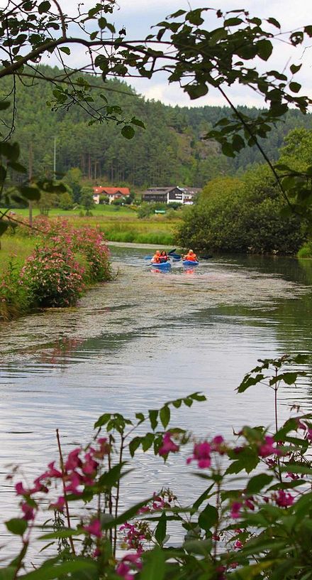 Canoeing on the Wiesent