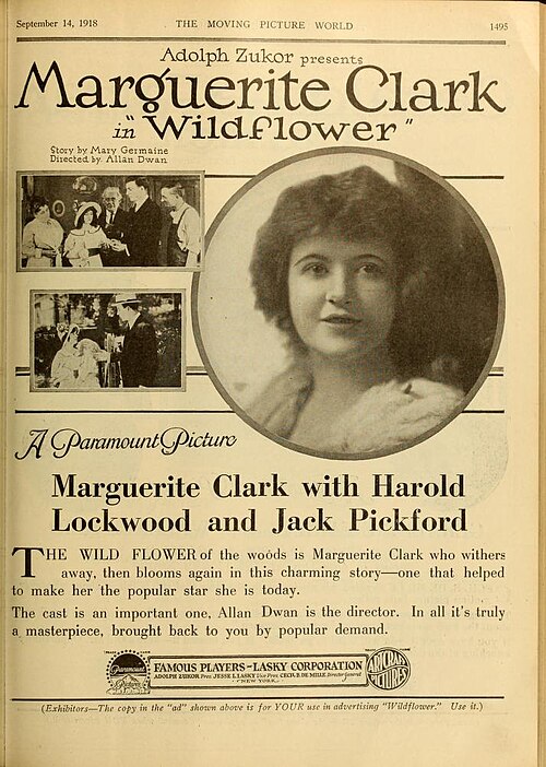Advertisement for Wildflower in Moving Picture World (1918)