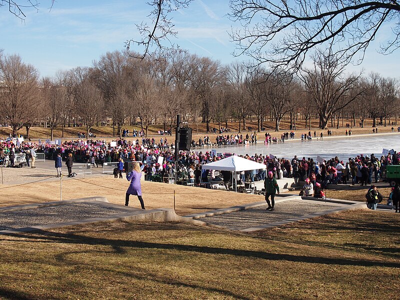 File:Women's March on Washington 2018 1204429.jpg