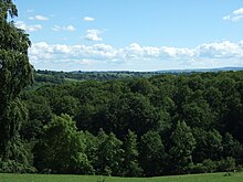 Woodland and trees in Herefordshire Woodland and trees in Herefordshire landscape.JPG