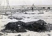 Wounded Knee aftermath5.jpg