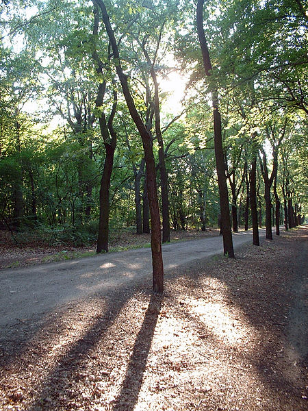 Wuhlheide hauptweg